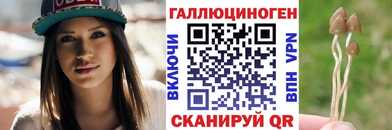 Галлюциногенные грибы Psilocybe  маркетплейс телеграм  Нытва 
